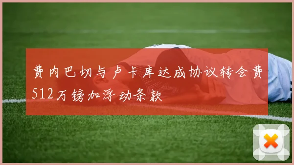 费内巴切与卢卡库达成协议转会费512万镑加浮动条款